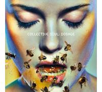 Dosage by Collective Soul (2008-09-30)