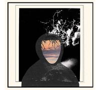 Doseone & Steel Tipped Dove - All Portrait, No Chorus [Vinilo]