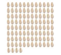 DOSERTY Paquete de 100 abalorios de conchas marinas naturales para pulseras y collares hechos a mano, componentes de joyería, surtido de conchas marinas