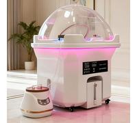 dosiwlatever SPA Capilar Japones Lavacabezas con Kit de Fumigación | Head SPA de circulación de Agua 60 L + 20 L | Head SPA Equipment con LED para Relajación del Cuero Cabelludo & Tratamiento Capilar