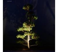 dot-spot dot-extensión de foco con pica Clarios Mini