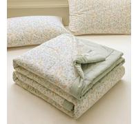 DOTBUY-SHOP Colcha Boutí Cubrecama de Dos Caras Suave Ligero y Transpirable,100% Algodón, Cama Multiusos para Primavera y Verano, Colchas para Cama 90 120 150 180 (Verde Claro,150x200cm)