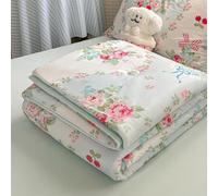 DOTBUY-SHOP Colcha Boutí Cubrecama de Dos/Singola Suave Ligero y Transpirable Bedspreads/Quilts Cama Multiusos para Primavera y Verano Colchas (Azul Claro,150x200cm)