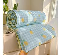 DOTBUY-SHOP Colcha Boutí Cubrecama de Dos Suave Ligero y Transpirable TOG 2,5 - Bedspreads/Quilts Cama Multiusos para Primavera y Verano Colchas (Piña 5202,200x230cm)