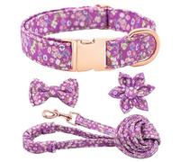 Dote on Juego de collar y correa para perro con pajarita, collar de perro con flor desmontable con hebilla dorada fuerte, collar acolchado suave ajustable para perros pequeños, medianos y grandes
