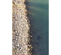 Dotted Notebook: Especially Dotted for Writing Chinese and Japanese Characters