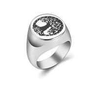 DOTUIARG Anillo de urna de cremación, Regalos de Recuerdo, joyería Conmemorativa, Recuerdo de Cenizas de joyería Conmemorativa de Ashe