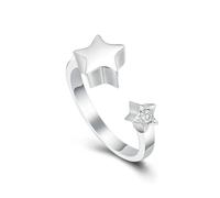 DOTUIARG Anillo para las cenizas, portaobjetos de acero inoxidable para recuerdos, anillo de urna para mascotas/humanos y un regalo conmemorativo para mujeres, hombres