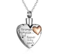 DOTUIARG Colgante de urna conmemorativa de acero inoxidable para cremación de corazón y cenizas para seres queridos