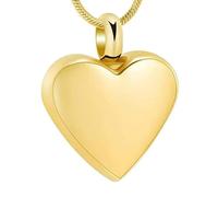 DOTUIARG Collar conmemorativo joyería de urna de cremación de corazón de acero inoxidable para cenizas para recuerdos humanos/de mascotas