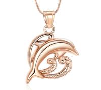 DOTUIARG Collar de urna Joyería de cremación para cenizas Memoria de acero inoxidable para conmemoración de colgantes de ceniza para mascotas hombres mujeres
