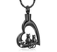 DOTUIARG Cremación de gatos, joyería, cenizas de corazón, collares para hombres, mujeres, colgante de cenizas conmemorativas con huellas de cristal de acero inoxidable