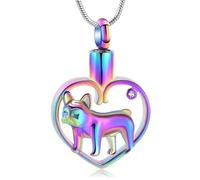 DOTUIARG Cremación para mascotas, joyería de corazón, collar de urna para cenizas, colgante de cenizas de acero inoxidable, recuerdo de perro para joyas para humanos de mascota