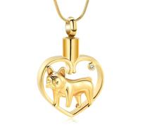 DOTUIARG Cremación para mascotas, joyería de corazón, collar de urna para cenizas, colgante de cenizas de acero inoxidable, recuerdo de perro para joyas para humanos de mascota
