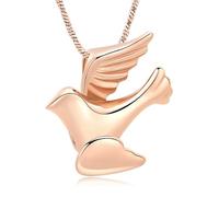 DOTUIARG Joyería de cremación, collar de urna para cenizas, colgante de ceniza de acero inoxidable para mujeres, joyería de recuerdo, collar conmemorativo
