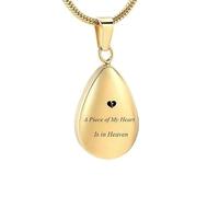 DOTUIARG Joyería de cremación para perros humanos Joyería de cremación Colgante de recuerdos para cenizas para mujeres