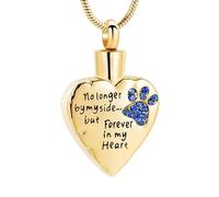 DOTUIARG Ya no a mi lado sino para siempre en mi corazón joyería de cremación para cenizas collares de urna conmemorativa de acero inoxidable para mascotas