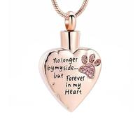 DOTUIARG Ya no a mi lado sino para siempre en mi corazón joyería de cremación para cenizas collares de urna conmemorativa de acero inoxidable para mascotas