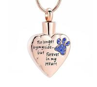 DOTUIARG Ya no a mi lado sino para siempre en mi corazón joyería de cremación para cenizas collares de urna conmemorativa de acero inoxidable para mascotas