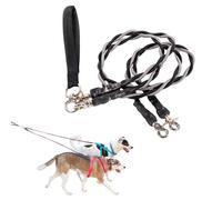 Double Bungee Leash - 1st Step Training Tool, Double Leash for Two Dogs - No Tangle, Dual Dog Leashes with Tangle-Free Swivel (C-Grey/Black)