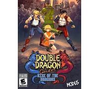 Double Dragon Gaiden: Rise Of The Dragons (PC) Steam Key EUROPE