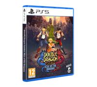 Double Dragon Gaiden: Rise of the Dragons