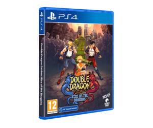 Double Dragon Gaiden Rise of the Dragons Sony Playstation 4 standard