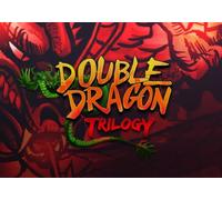 Double Dragon Trilogy (PC) Steam Key - GLOBAL