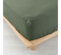Douceur d'intérieur Angelia - sábana Bajera (160 x 200 cm) Caqui, Gasa de algodón