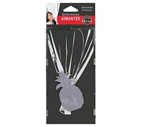 Douceur d'Intérieur Suavidad de Interiores, alzapaños magnéticos, 30 x 8 x 4,5 cm, Metal pátina GANA Gris/Plata