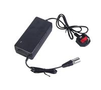 DOUDINGMAO Carga de scooter eléctrico de 24 V 5 A, profesional para silla de ruedas y hoverboard, bicicletas de movilidad y carga de scooter