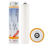 Doulton Cartucho Reductor De Flúor De 10« | 1 paquete | Filtro cerámico para agua potable | Rosca BSP de 1/4» | Para sistemas bajo encimera Duo y Trio | Reduce los contaminantes | Mejora el sabor|9B04