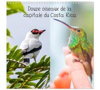 Douze oiseaux de la capitale du Costa Rica (Calendrier mural carré 2026 30 x 60 cm (ouvert)) Calendrier double avec une page pour vos prises de notes