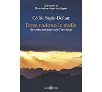 Dove cadono le stelle (Romanzo)