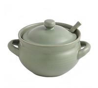 Dowbom BL-SP-002 - Cuencos de sopa con tapa, cebolla francesa, aptos para horno, microondas con cuchara, taza de sopa (verde, 14 onzas), BL-SP-002