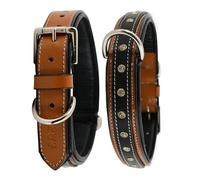 DowgClub GemForge Duo Series - Collar de cuero resistente para perro, acolchado, ajustable con anillos dobles en D y hebilla de metal, duradero, cómodo y elegante para perros pequeños (Earth Elegance