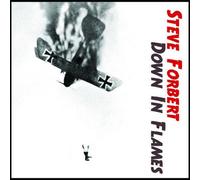 Down in Flames by Steve Forbert (2014-08-03)