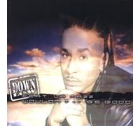 Down Low Feat.la Maz - Wouldn't It Be Good [Import]