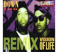 Down Low - Vision of Life(Remix)