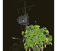Down On Darkened Meetings [Vinilo]