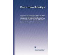 Down town Brooklyn: a report to the Comptroller of the City of New York on sites for public buildings and the relocation of the elevated railroad tracks now in lower Fulton Street, Borough of Brooklyn