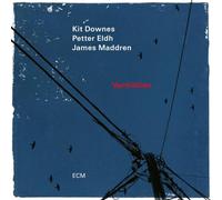 Kit Downes, Petter Eldh y James Maddren – Vermillion – Vinilo