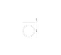 Downlight DL CMFT INTERCH RING D250 GY 4099854515491