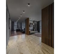 Downlight DL SURFACE IP65 DN 250 P 45W 830 36D BK 4058075769250