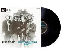 DOWNLINERS SECT - THE SECT