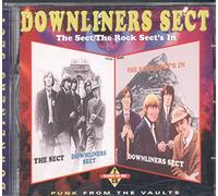 Downliners Sect - The Sect/the Rock Sect's in