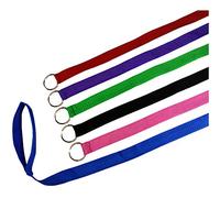 Downtown Pet Supply 6 Foot Slip Lead, Slip Leads, Kennel Leads with O Ring for Dog Pet Animal Control Grooming, Shelter, Rescues, Vet, Veterinarian, Doggy Daycare (24 Pack, Colors: Various) by by