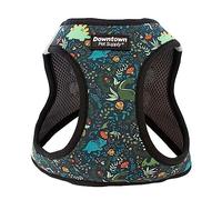 Downtown Pet Supply, Arnés para Perros Grandes sin Tirar, Chaleco Acolchado de Malla para Perros con Borde Reflectante, Cierre de y Correa de Hebilla, Dinosaurio, XL