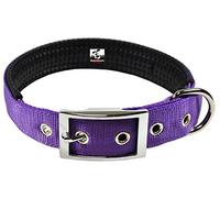 Downtown Pet Supply Collar de perro de lujo, collar de perro acolchado ajustable con hebilla de metal y anillo en D, lavable a máquina y resistente al agua, collar de perro grueso, morado, L, collar de perro grande