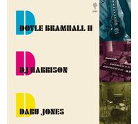 Doyle Bramhall When the Music Is Over (Vinyl) (Importación USA)